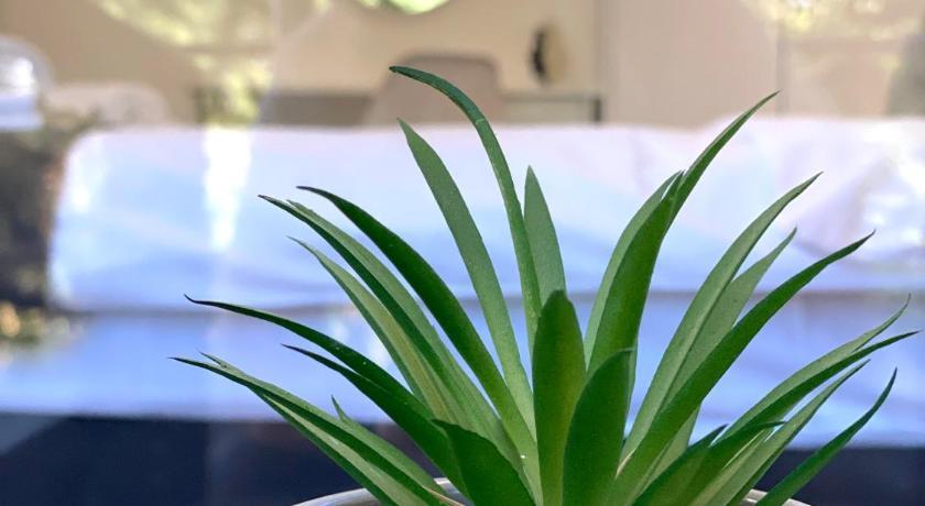 Hello Studios Budget Stays Free Parking & Wifi Stara Zagora Buitenkant foto